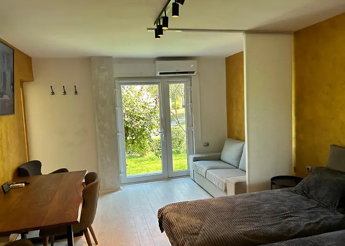 Apartment Gal