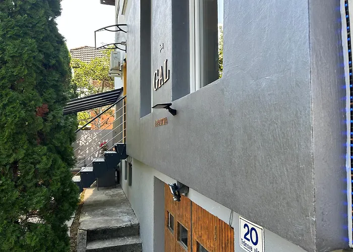 Apartment Gal