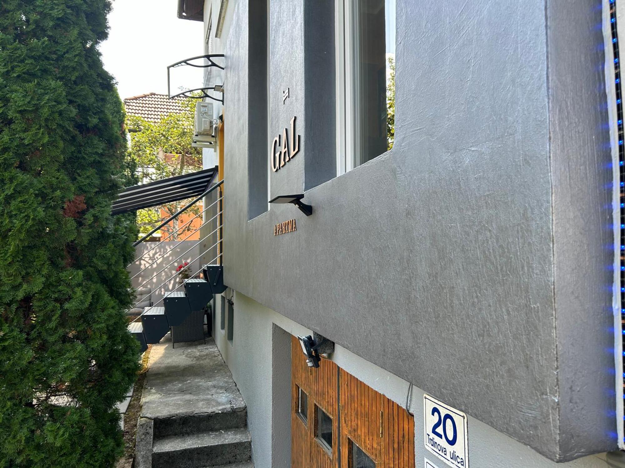Gal Novo Mesto