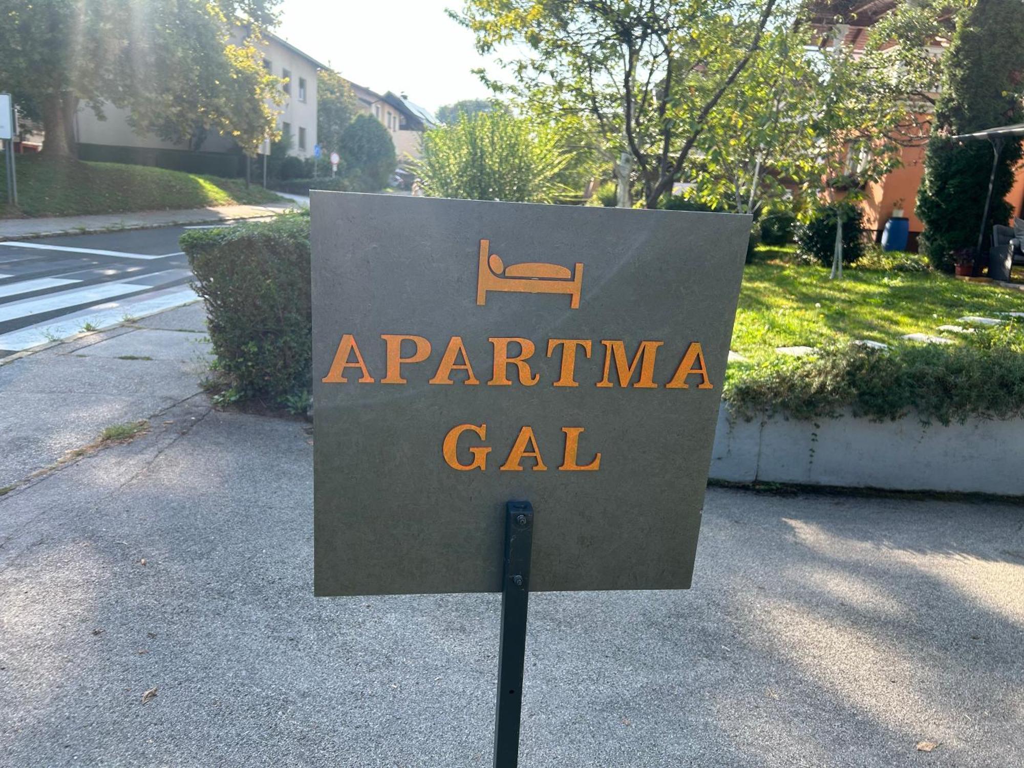Apartment Gal